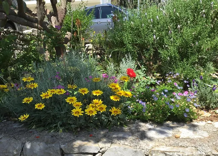 Apartman Marija Todoric