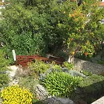 Apartment Marija Todoric *